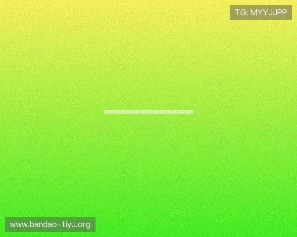 中欧体育买球赛代理合作指南打造专业代理团队提升赛事投注成功率与客户满意度
